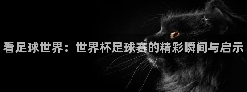 HB火博app官网