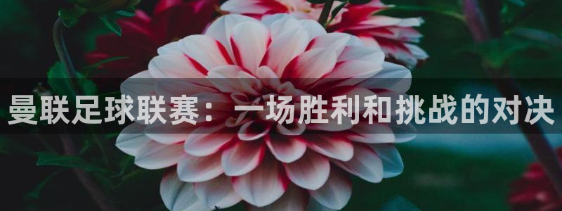 HB火博·体育(中国)官方网站