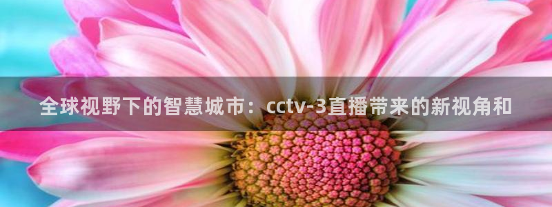 龙门飞甲哪个平台可以看：全球视野下的智慧城市：cctv-3直播带来的新视角和