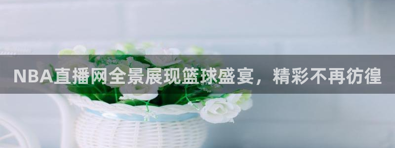龙门直播在线直播：NBA直播网全景展现篮球盛宴，精彩不再彷徨