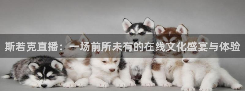 龙门直播免费下载入口：斯若克直播：一场前所未有的在线文化盛宴与体验