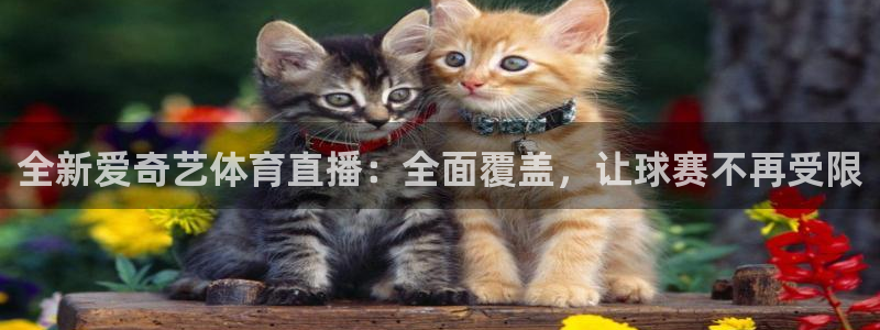 龙门直播app足球直播下载手机版：全新爱奇艺体育直播：全面覆盖，让球赛不再受限