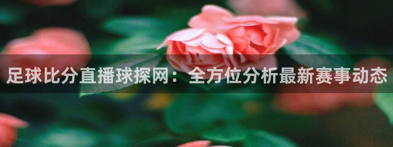 龙门免费直播：足球比分直播球探网：全方位分析最新赛事动态