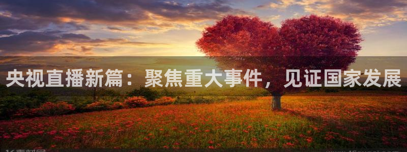 龙门直播体育直播：央视直播新篇：聚焦重大事件，见证国家发展
