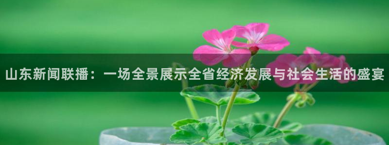 龙门直播体育：山东新闻联播：一场全景展示全省经济发展与社会生活的盛宴