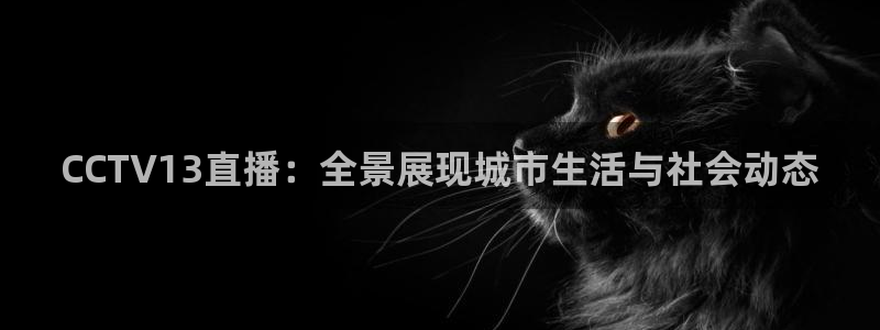 龙门直播体育直播：CCTV13直播：全景展现城市生活与社会动态