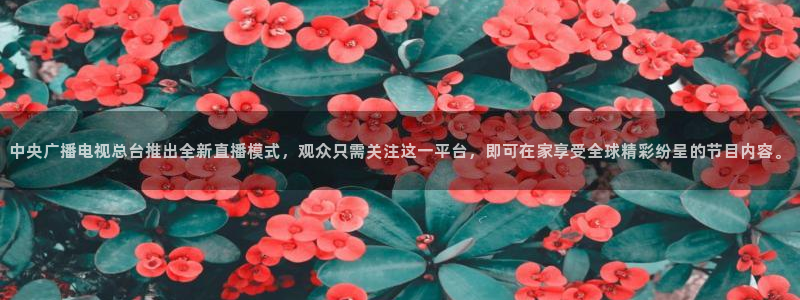 龙门直播间：中央广播电视总台推出全新直播模式，观众只需关注这一平台，即可在家享受全球精彩纷呈的节目内容。